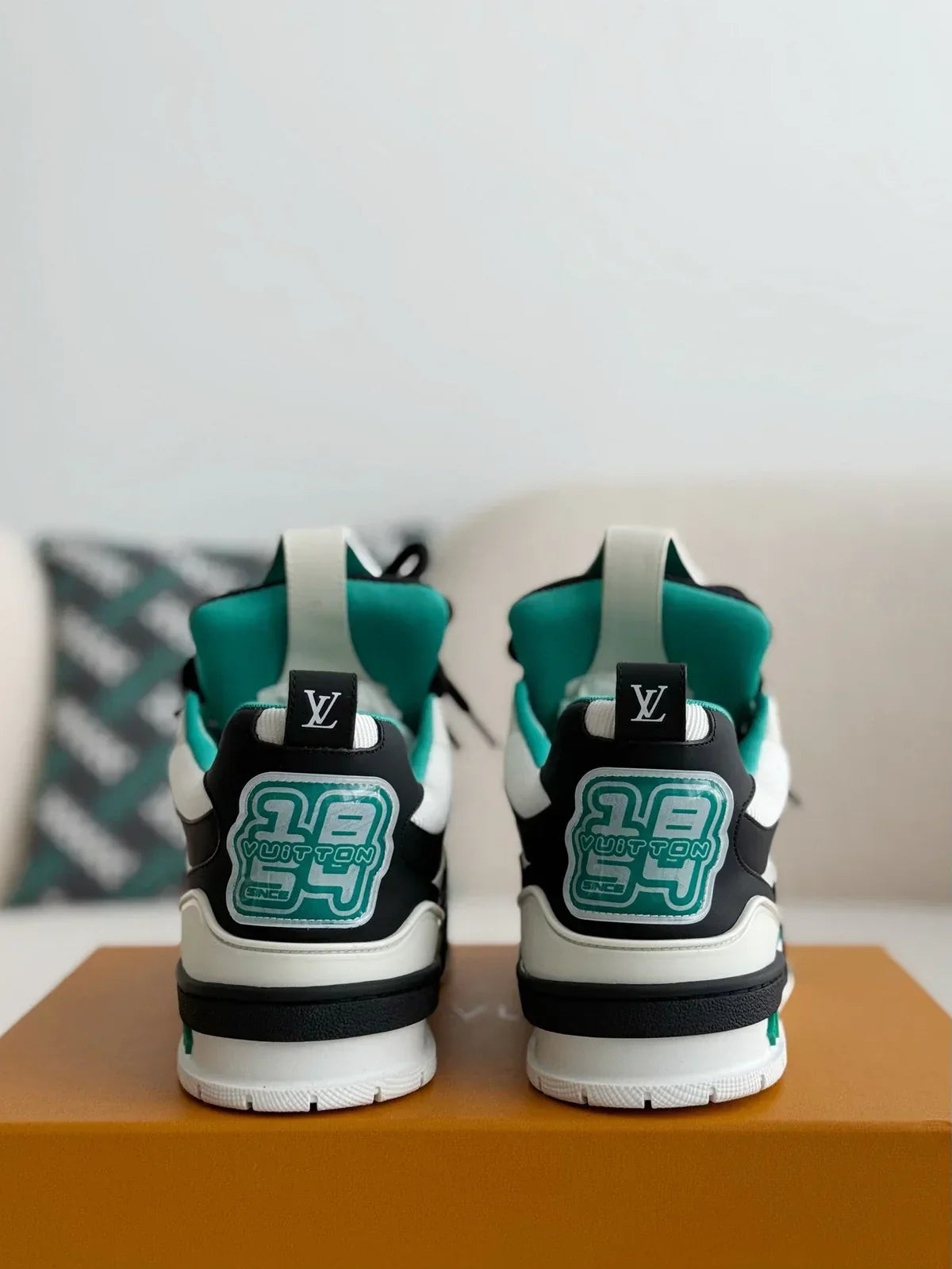 LOUIS VUITTON SKATE